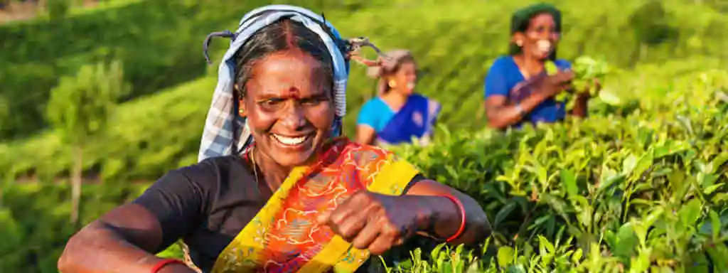 DÉCOUVREZ LE SRI LANKA