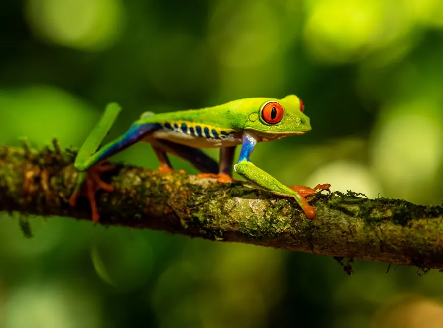 BIODIVERSITÉ EXCEPTIONNELLE