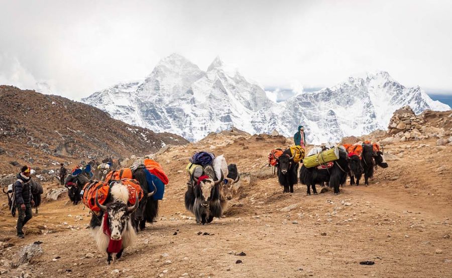 TREKKING ET SPIRITUALITÉ