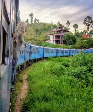 Train bleu à travers les plantations de thé du Sri Lanka
